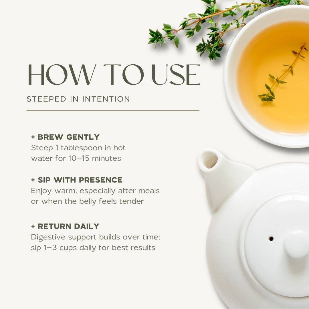 Well Belly | Digestive Support for IBS, SIBO, GERD, Bloating