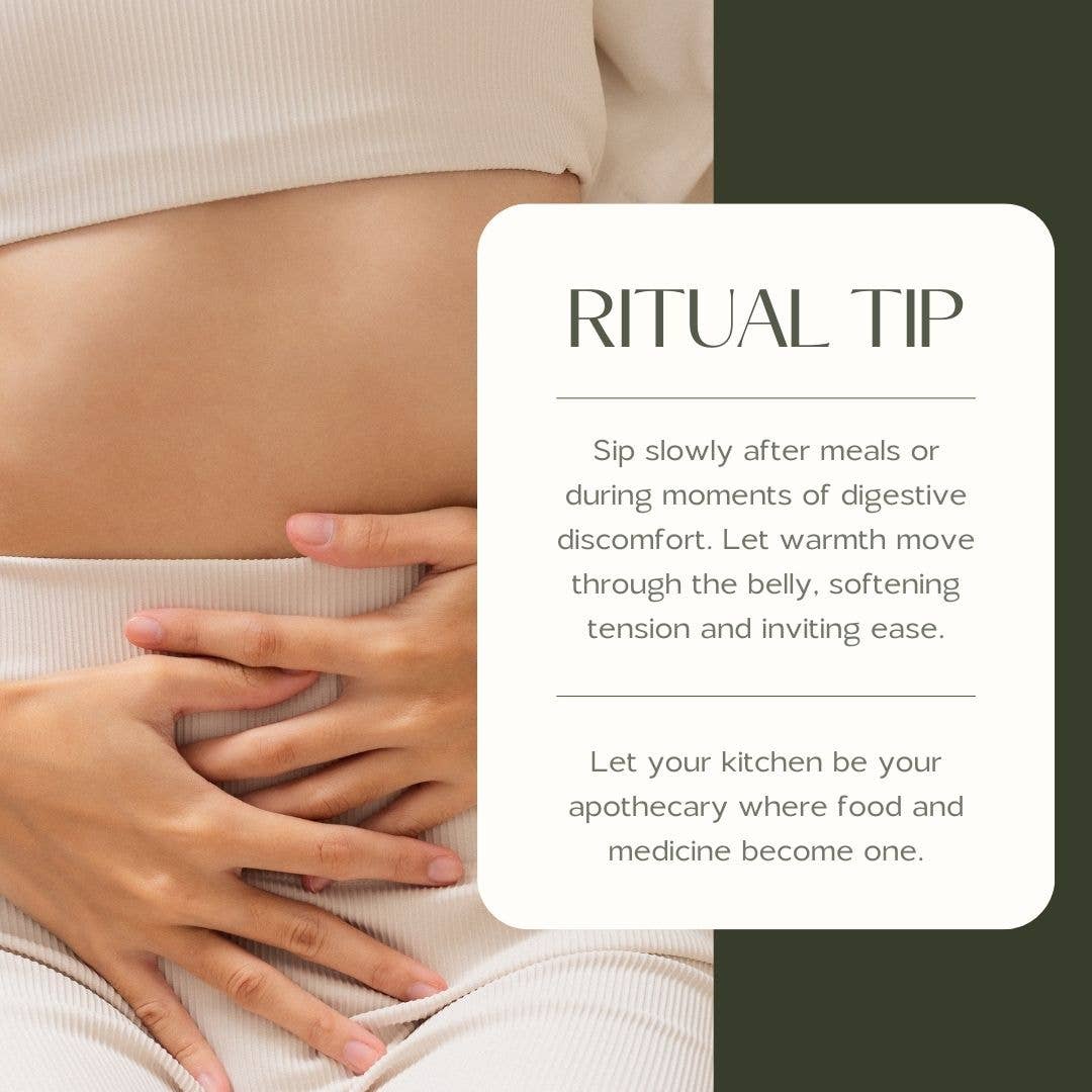 Well Belly | Digestive Support for IBS, SIBO, GERD, Bloating